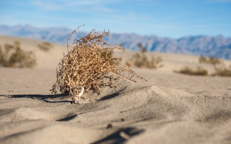 US Government Opens Millions of Acres in the California Desert to Mining